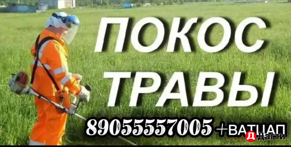 ПАКОС ТРАВЫ