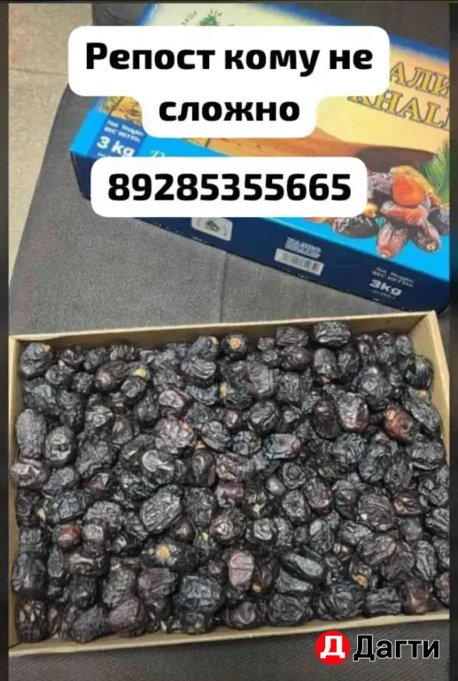 Финики Суккари