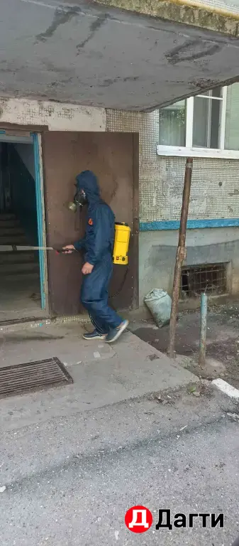 дезинфекция дезинсекция дератизация