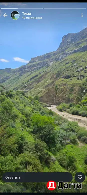 Бизнес в сфере торговли