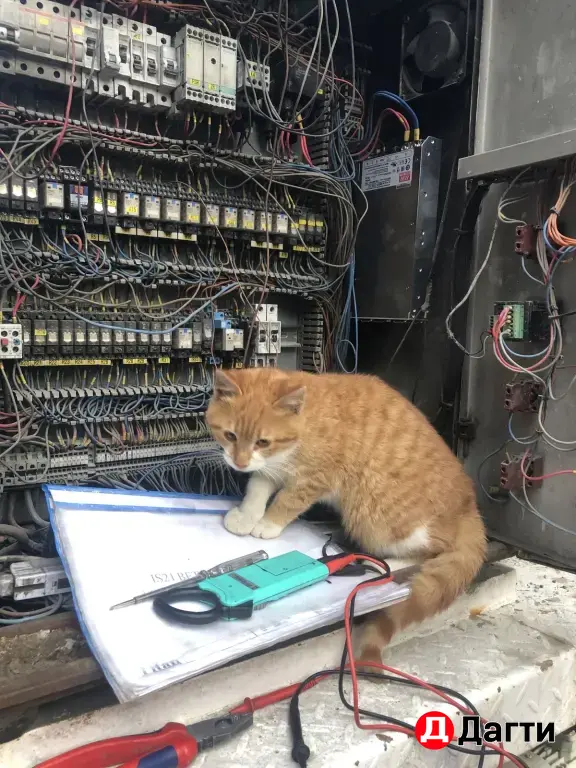 электромонтаж