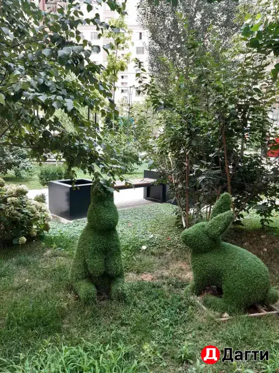Фемели Арси