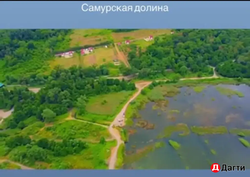 Домики в лесу