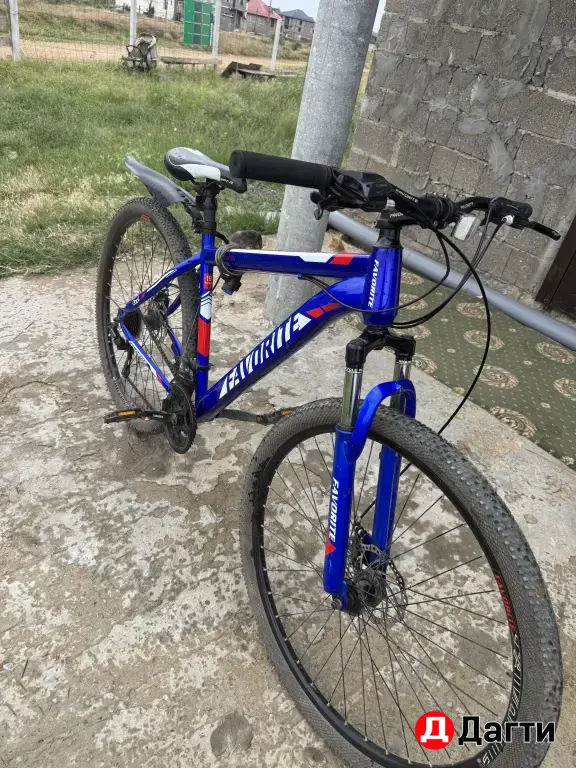 Fovorite sprinter