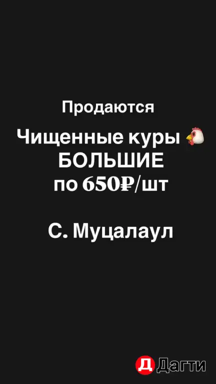 Куры чищеные