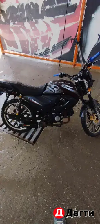Alpha rs12