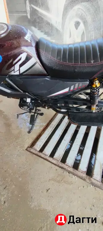 Alpha rs12