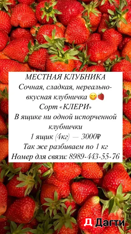КЛУБНИКА САМАЯ СЛАДКАЯ, СОЧНАЯ, МЕСТНАЯ