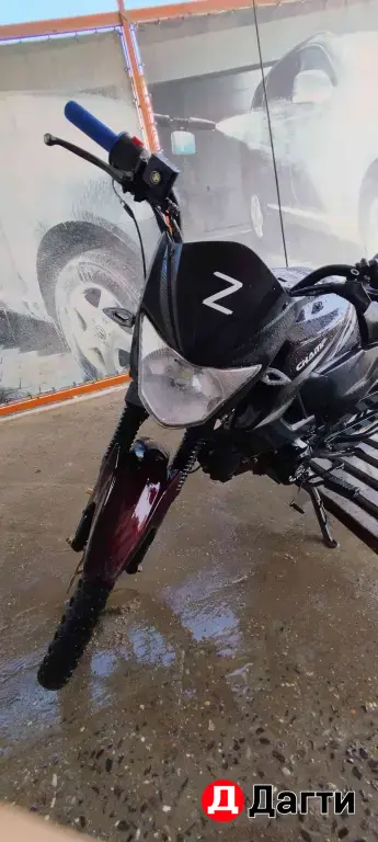 Alpha rs12