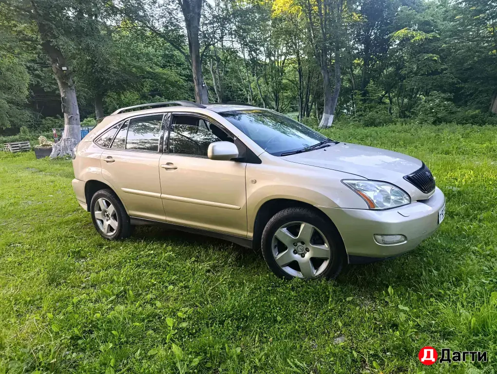 Lexus RX, 2006 года