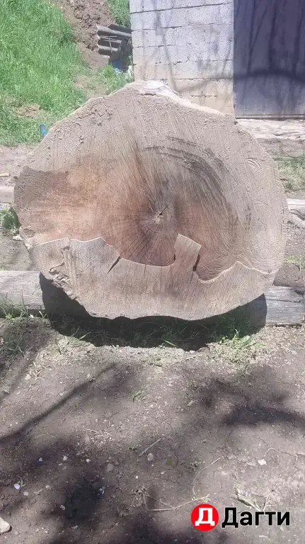 орех кругляк сухая