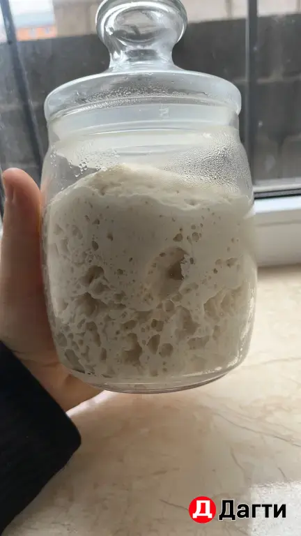 закваска долголетняя