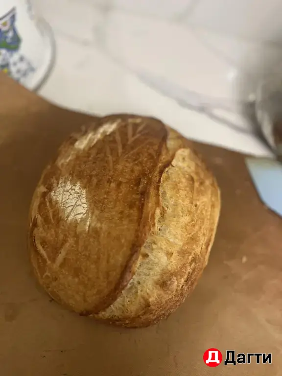 закваска долголетняя