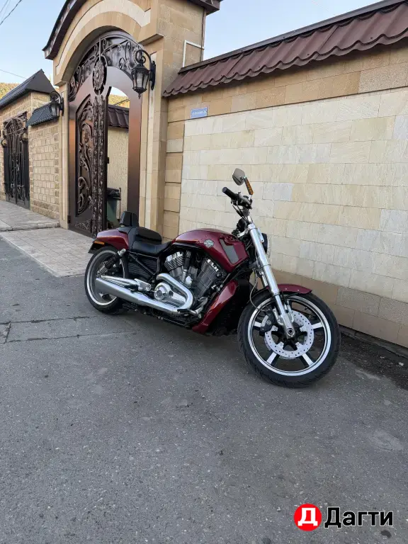 harley davidson v-rod muscle