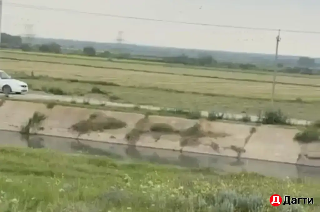 земля на трассе