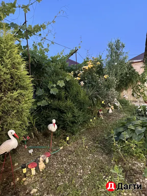 сулакский каньон, домик.