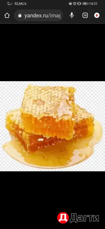 МЁД ГОРНЫЙ