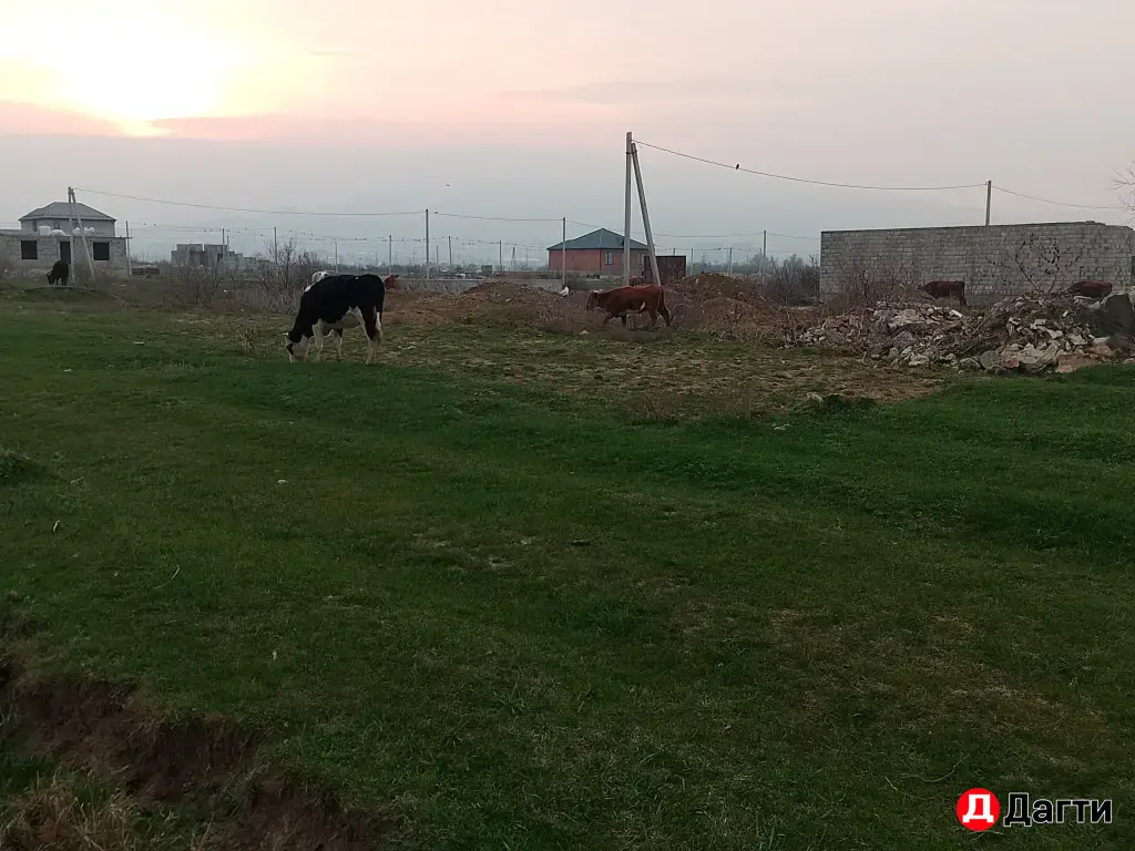 Земельный участок