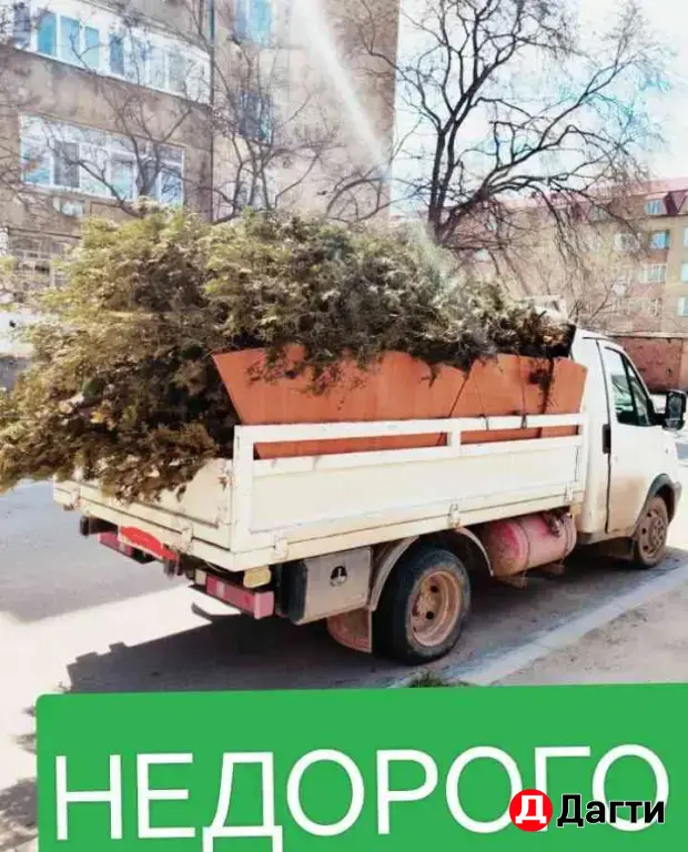 Вывоз мусора и стройматериалов