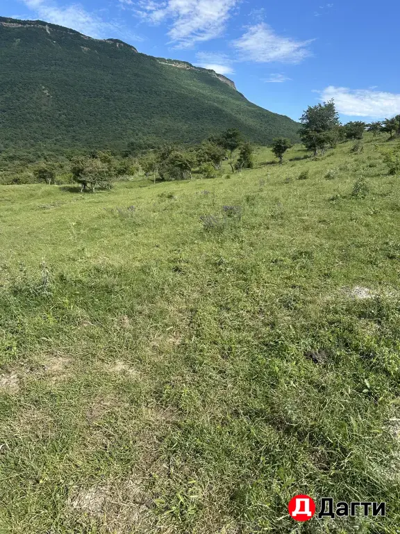 участок 8 соток
