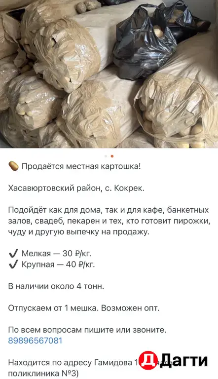 картошка местна