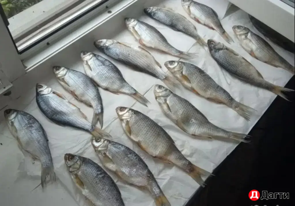Рыба Вобла Сушенная