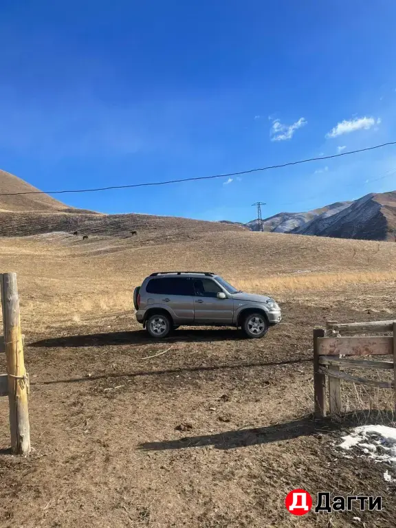 Chevrolet Niva, 2011 года