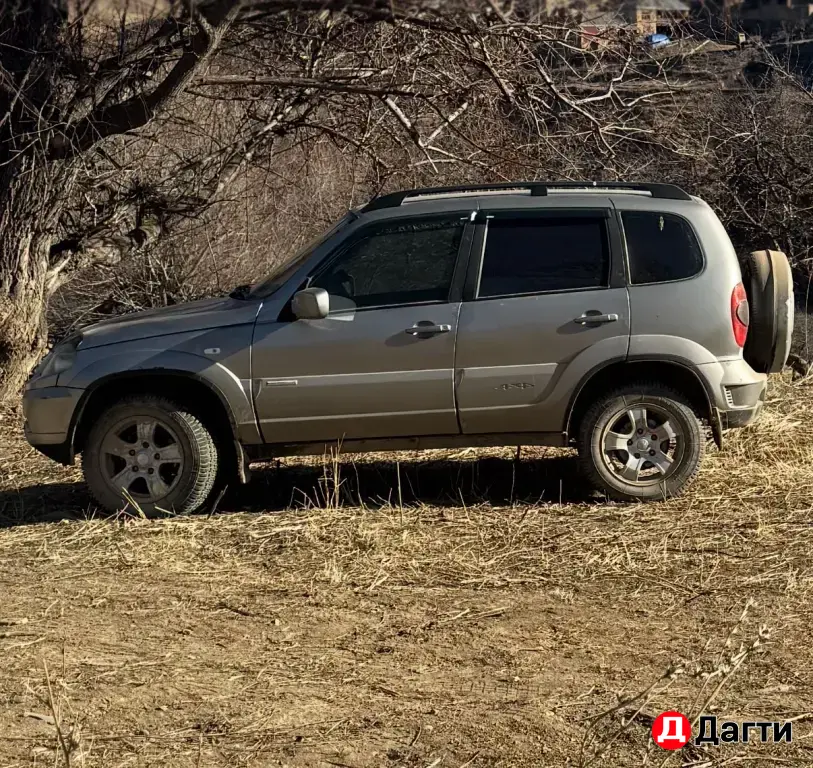 Chevrolet Niva, 2011 года