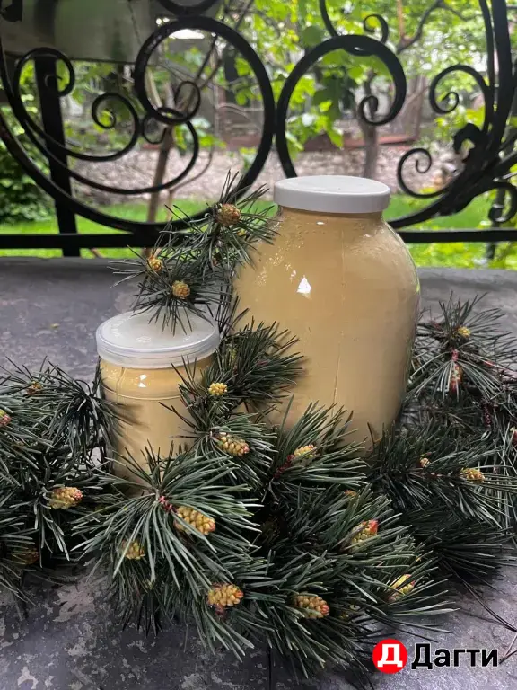 Сосновая пыльца