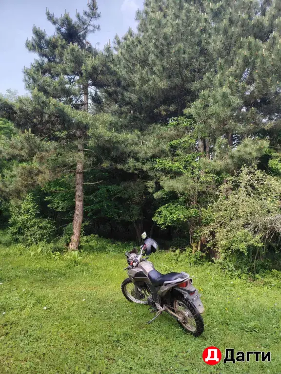 Racer ranger rc250-GY8A