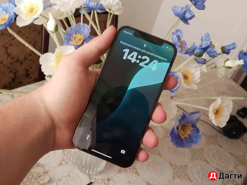 12 про айфон.